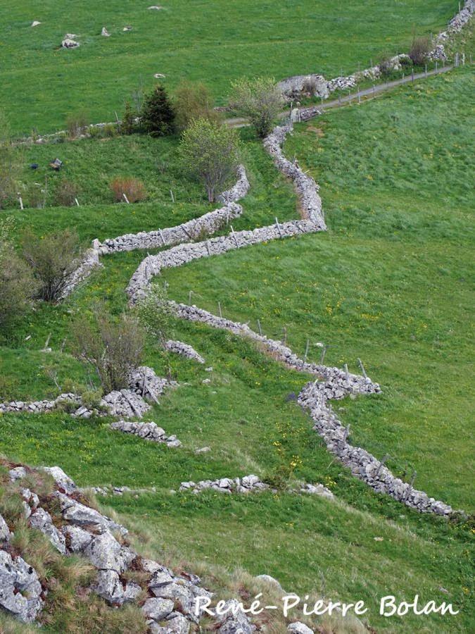 Gites Basques Laguiole Kültér fotó